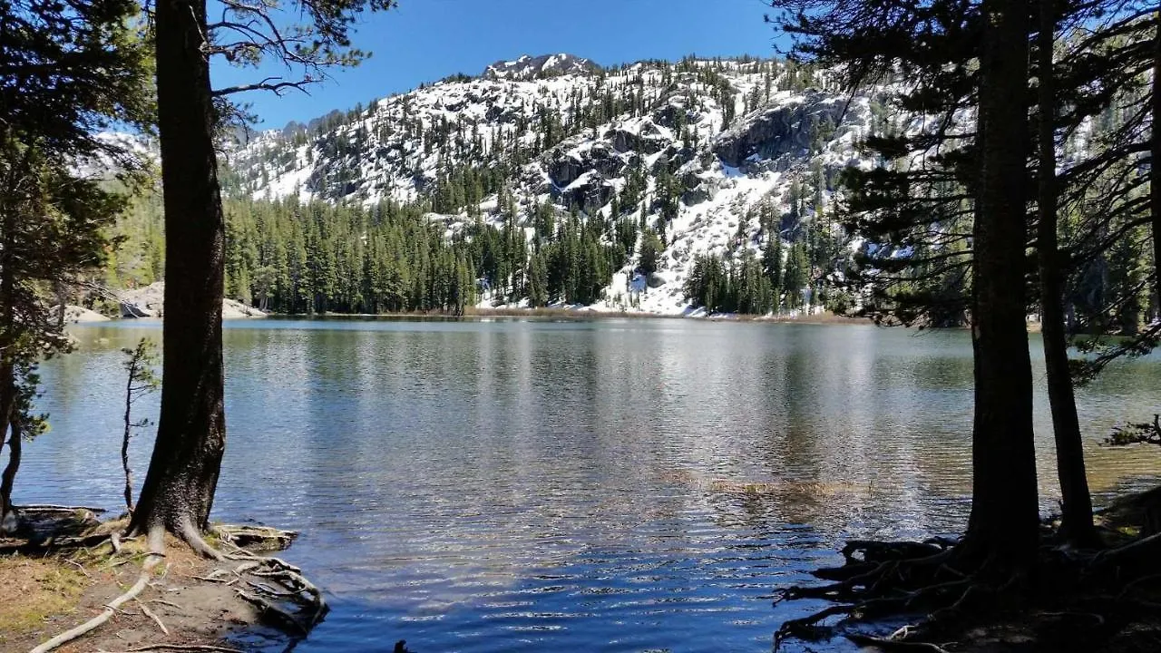 Marriott Grand Res Q4 #4256 Lejlighed South Lake Tahoe