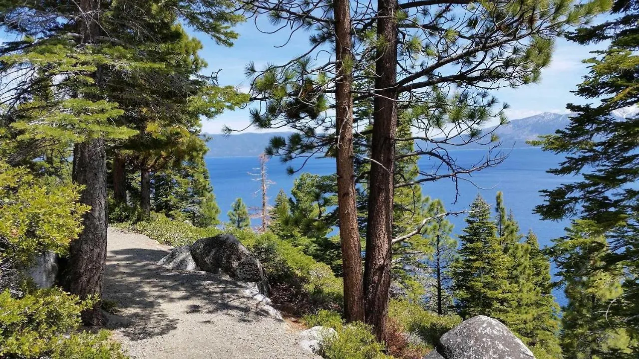 Marriott Grand Res Q4 #4256 Lejlighed South Lake Tahoe